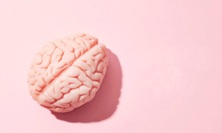 Khai thác bán cầu não phải có lợi gì?