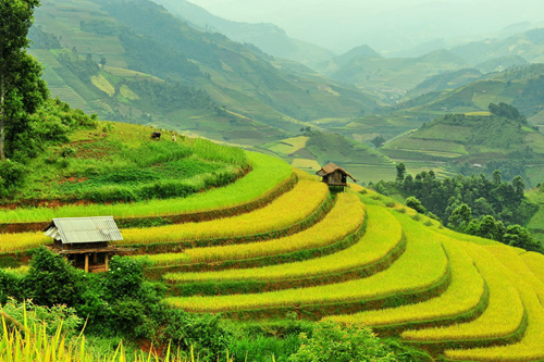 Hai người bạn