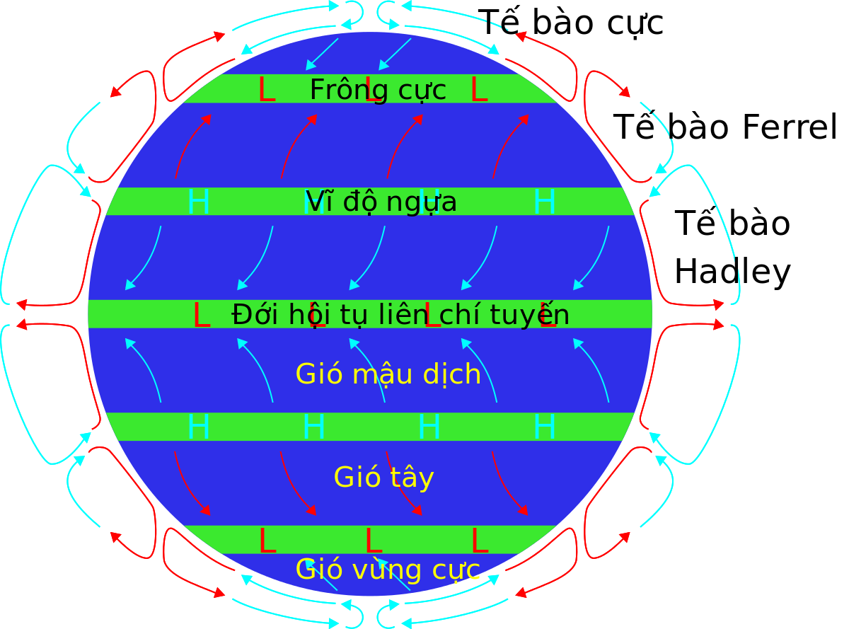 Tại sao gọi là vĩ độ ngựa?