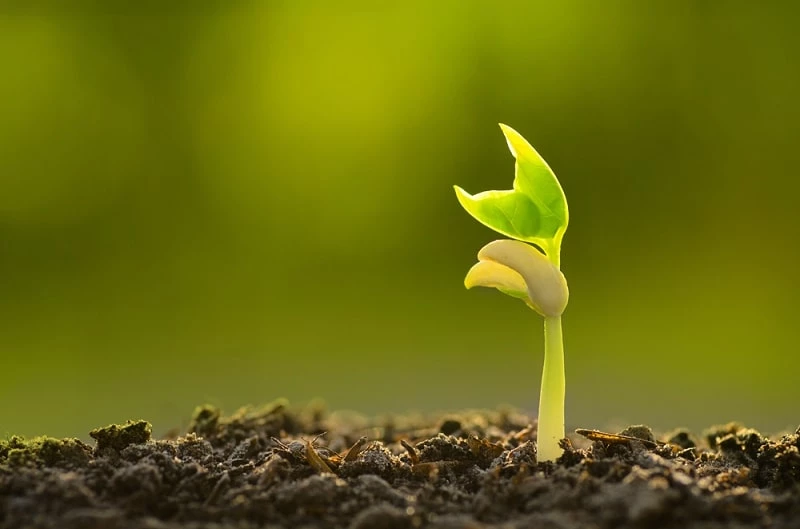 Hãy cố gắng khi còn có thể
