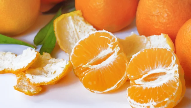 Vì sao một hạt quýt mọc lên nhiều mầm?