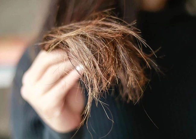 Vì sao đầu cây tóc lại bị chẻ nhánh?