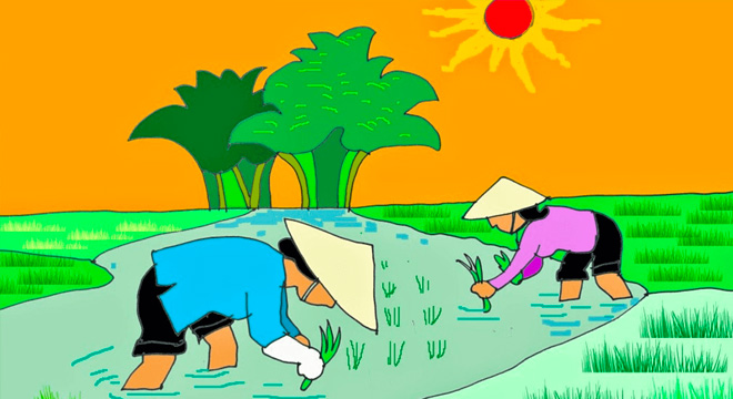 Hạt gạo làng ta