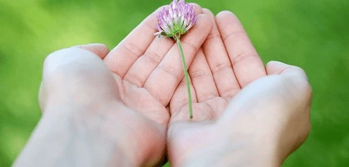 Mỗi ngày là một món quà