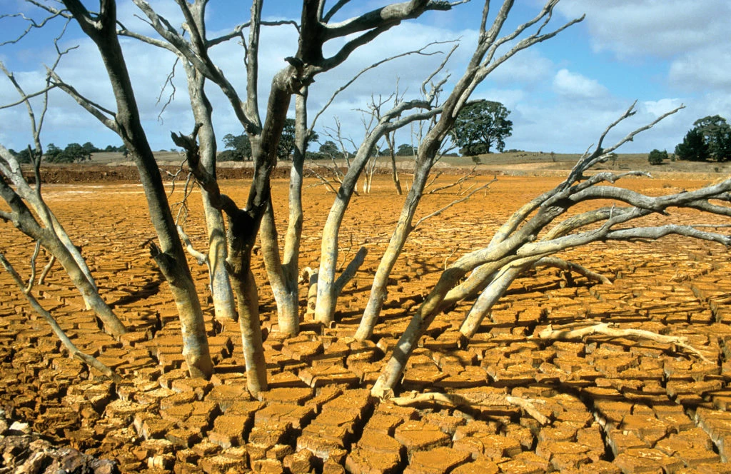 Núi lửa là thủ phạm gây nên hiện tượng El Nino?