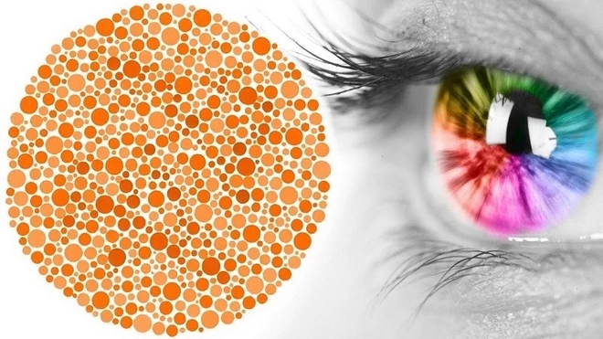 Vì sao có người không phân biệt được màu sắc?