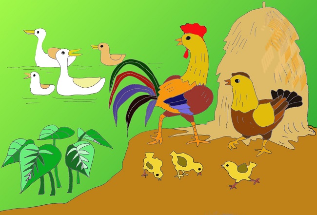 Nghe kể chuyện cổ tích - Diều Hâu và Gà Mái