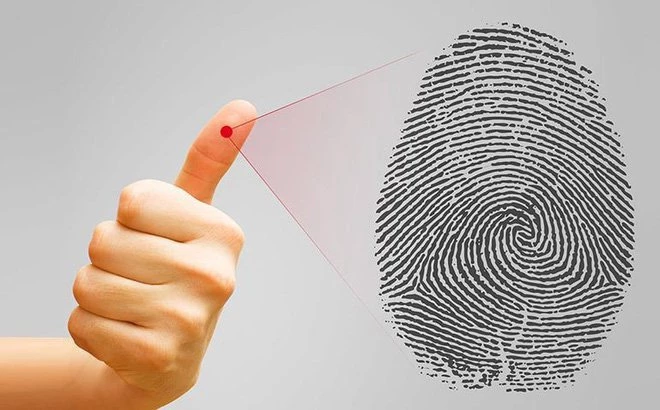Công dụng tự nhiên của dấu vân tay là gì?