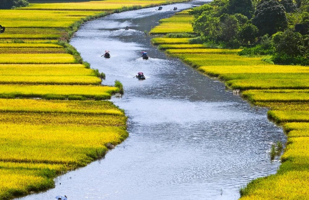 Vì sao các dòng sông uốn khúc quanh co?