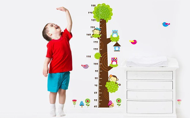 Vì sao trong một ngày, chiều cao của cơ thể có thay đổi?