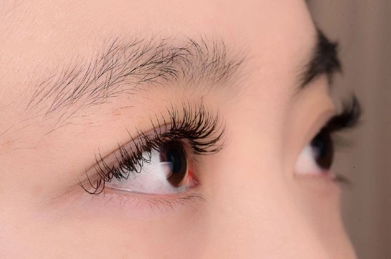 Tóc trên đầu và lông mi trên mắt, loại nào có đời sống dài hơn?