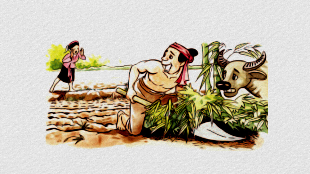 Giấu cày