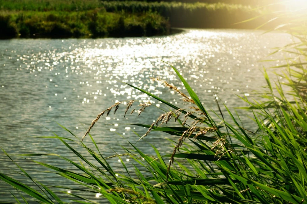 Bạn đang lớn…