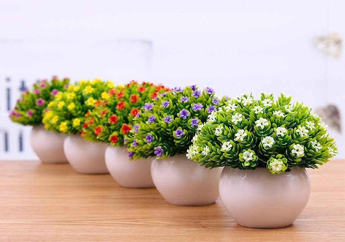 Khi bạn không có mặt ở nhà, làm thế nào để chậu hoa vẫn được tưới nước?