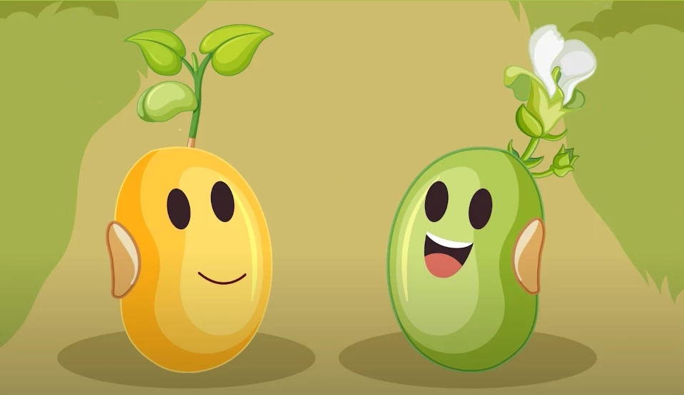 Câu chuyện của hai hạt mầm
