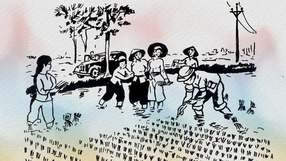 Giáo sư Lương Định Của - Nhà bác học của đồng ruộng
