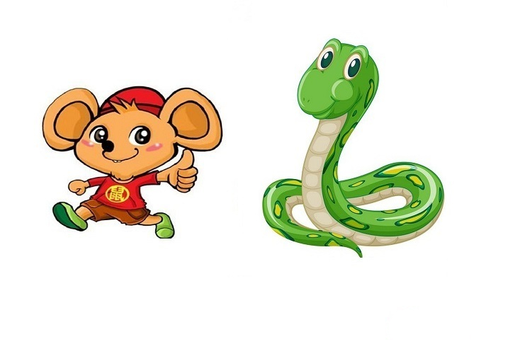 Rắn và chuột