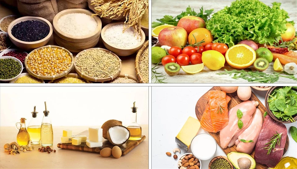 Thực phẩm ta ăn vào biến đi đâu?
