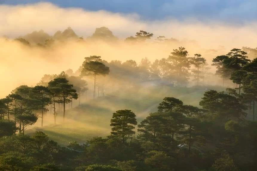 Vì sao mà những ngày mưa thì không có sương?