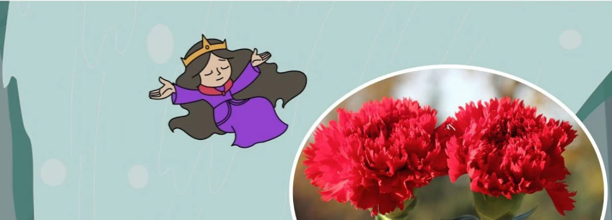 Nghe kể chuyện cổ tích - Sự tích hoa cẩm chướng