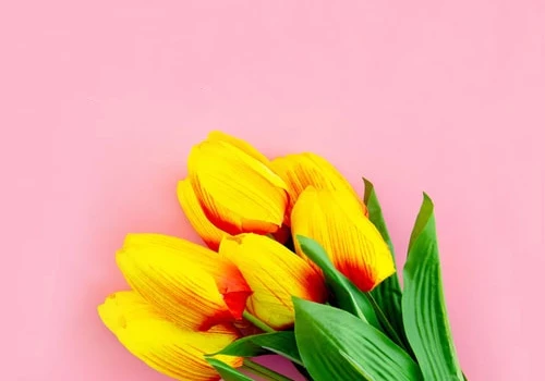 Câu chuyện tình yêu #2