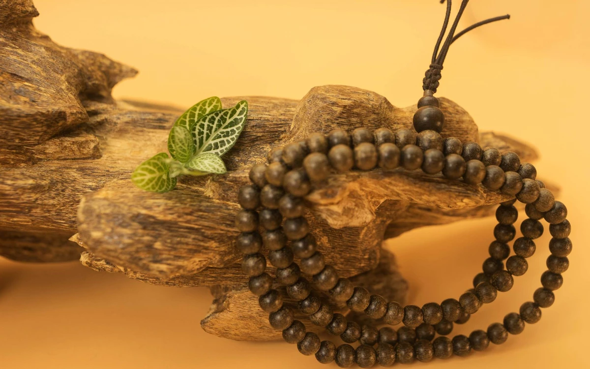 Tại sao Trầm Hương là loại cây danh giá?