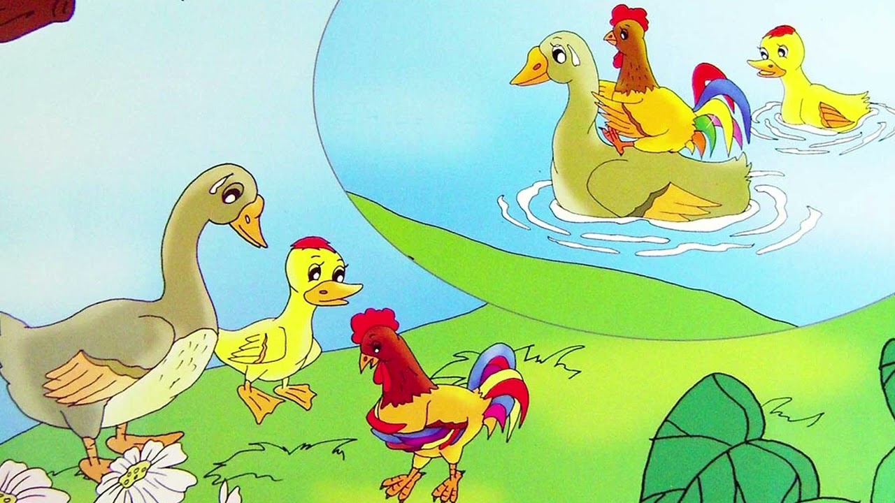 Nghe kể chuyện thiếu nhi - Đứa con của mẹ vịt bầu